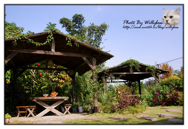遠離塵囂的桌上遊戲大廝殺－車子109(台北新店)