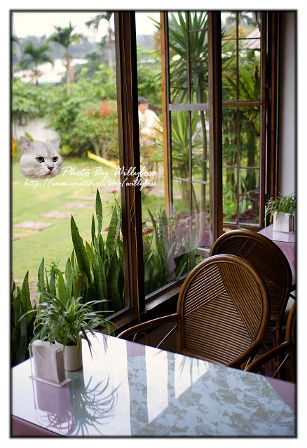 遠離塵囂的桌上遊戲大廝殺－車子109(台北新店)