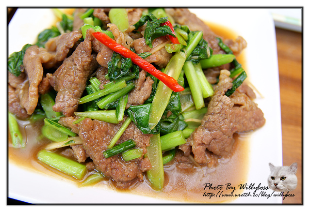 遠離塵囂的桌上遊戲大廝殺－車子109(台北新店)