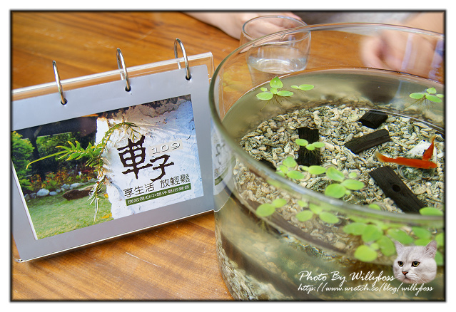 遠離塵囂的桌上遊戲大廝殺－車子109(台北新店)