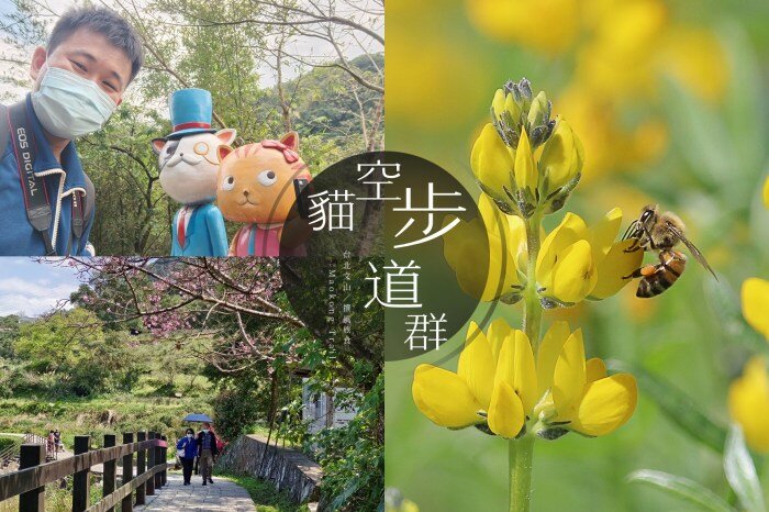 新北食記／可愛村便當－大排長龍到隔壁超商都要立牌留通道，新店最知名的家常便當