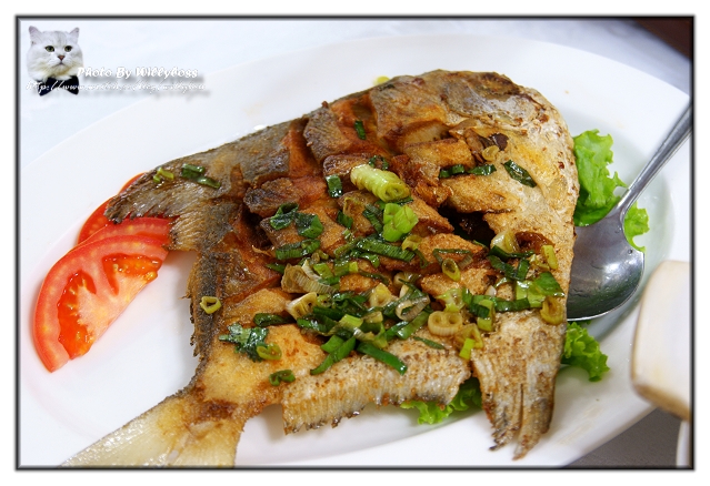 入口即化腐乳肉-上海小館(台北永和)