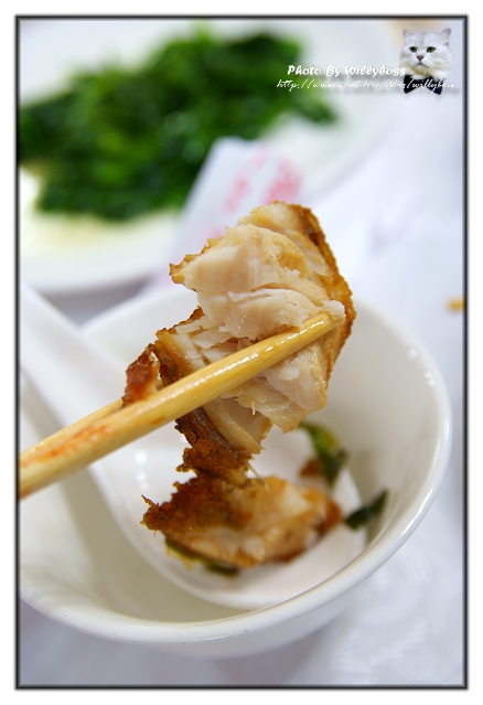 入口即化腐乳肉-上海小館(台北永和)