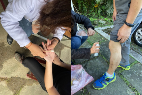 醫療.png - 2019草嶺古道芒花季