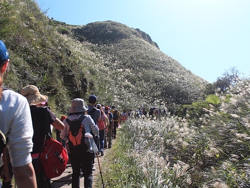 28.jpg - 2019草嶺古道芒花季