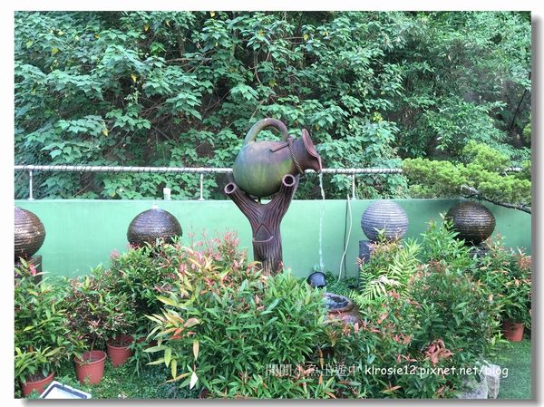 IMG_8980.jpg IMG_8980.jpg