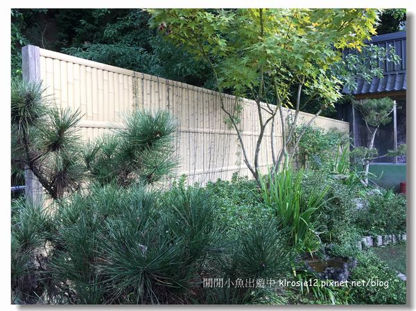 IMG_8977.jpg IMG_8977.jpg