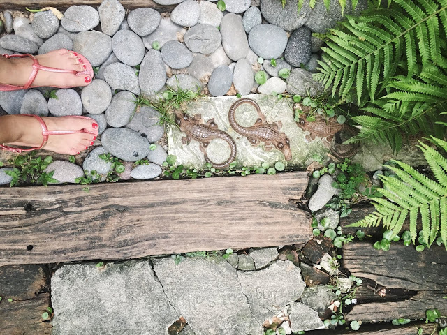 Cheela小屋咖啡館- 醉心於綠蔭裡的咖啡小屋