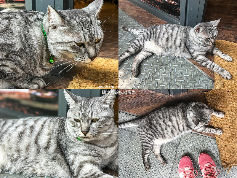 @陳小可的吃喝玩樂