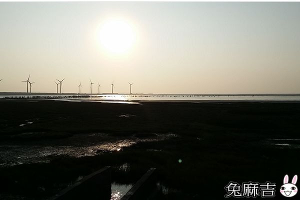 高美濕地 (7).jpg