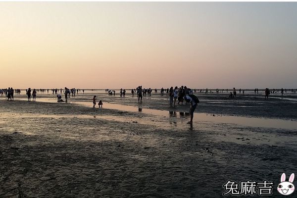 高美濕地 (36).jpg