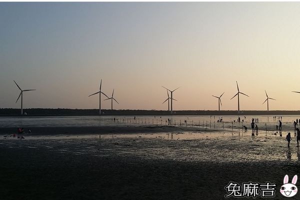 高美濕地 (16).jpg