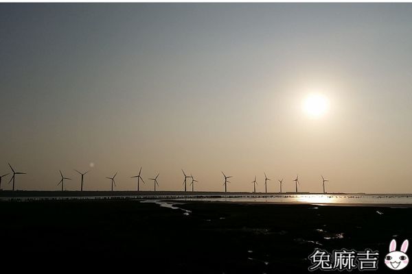 高美濕地 (2).jpg