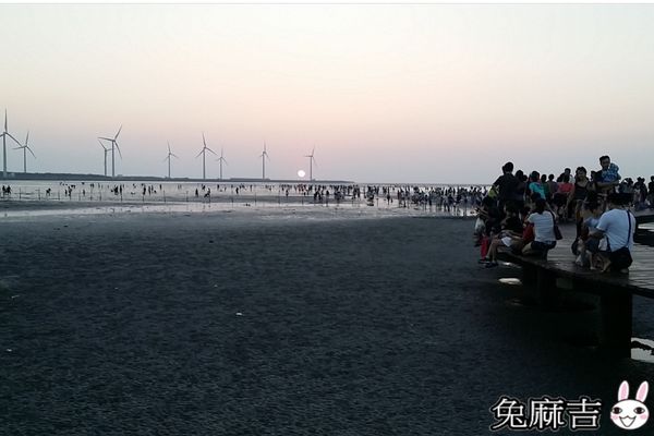 高美濕地 (40).jpg