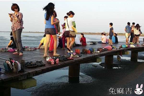 高美濕地 (15).jpg