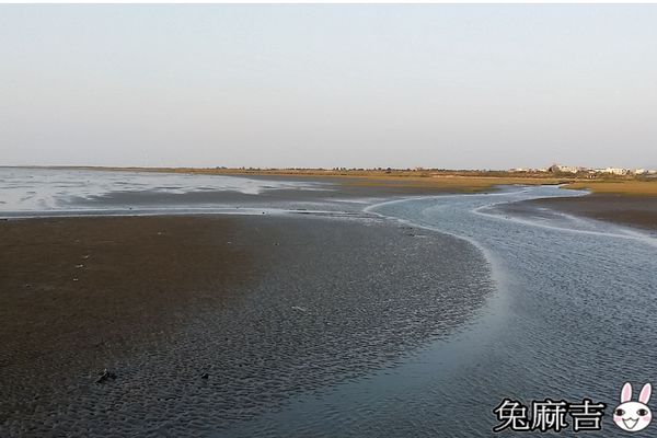 高美濕地 (12).jpg