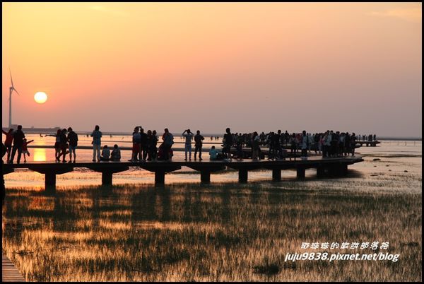 高美濕地16.JPG