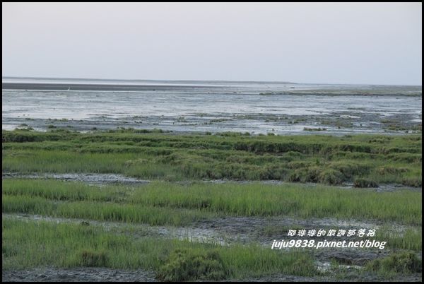 高美濕地9.JPG