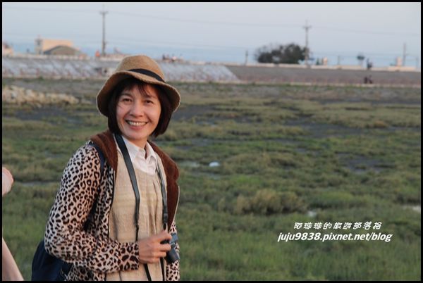 高美濕地11.JPG