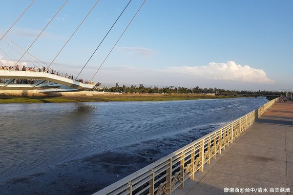 【台中/清水】高美濕地