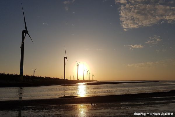 【台中/清水】高美濕地