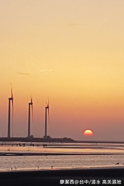 【台中/清水】高美濕地