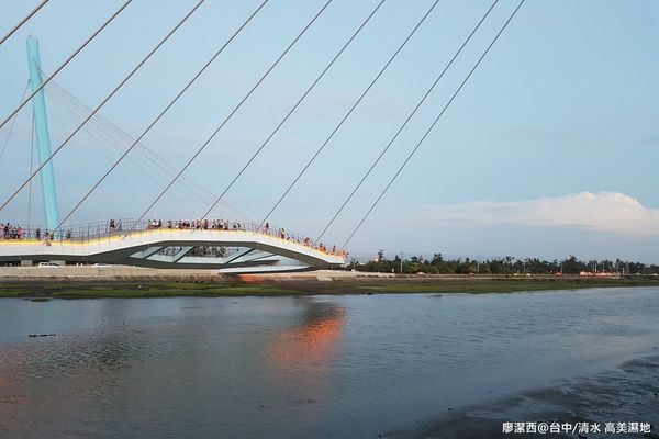 【台中/清水】高美濕地