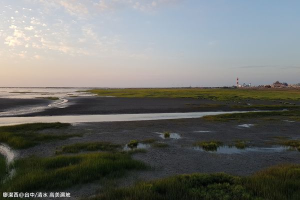 【台中/清水】高美濕地