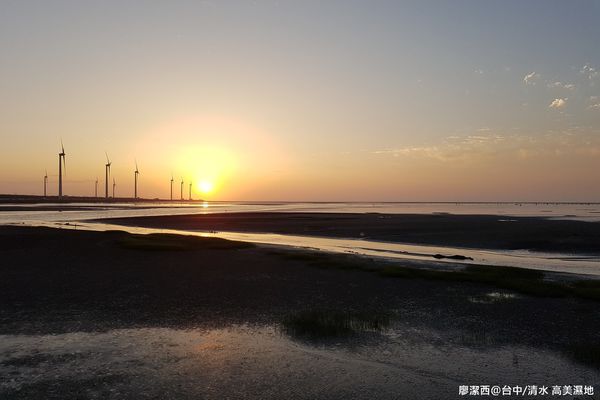 【台中/清水】高美濕地