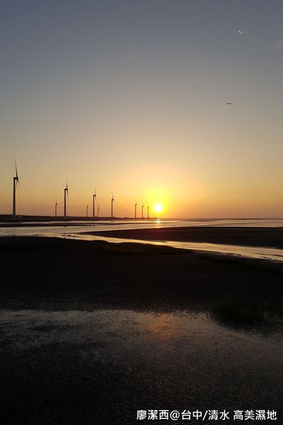 【台中/清水】高美濕地