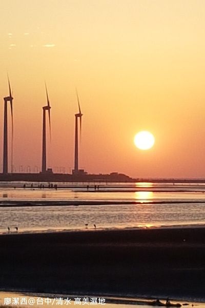 【台中/清水】高美濕地