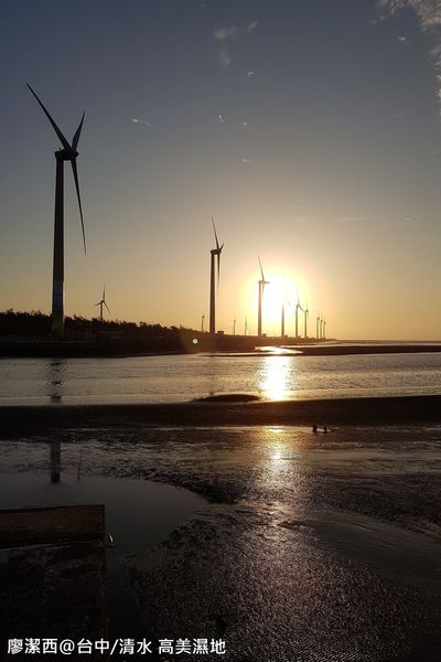 【台中/清水】高美濕地
