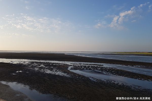【台中/清水】高美濕地
