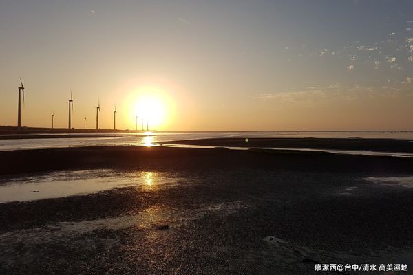 【台中/清水】高美濕地