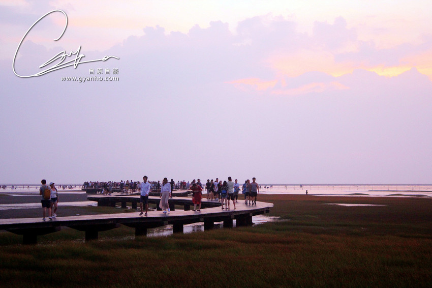 食遊台中：高美濕地