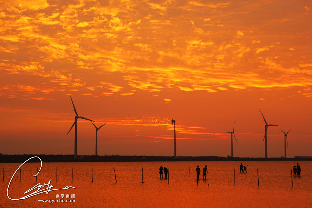 食遊台中：高美濕地