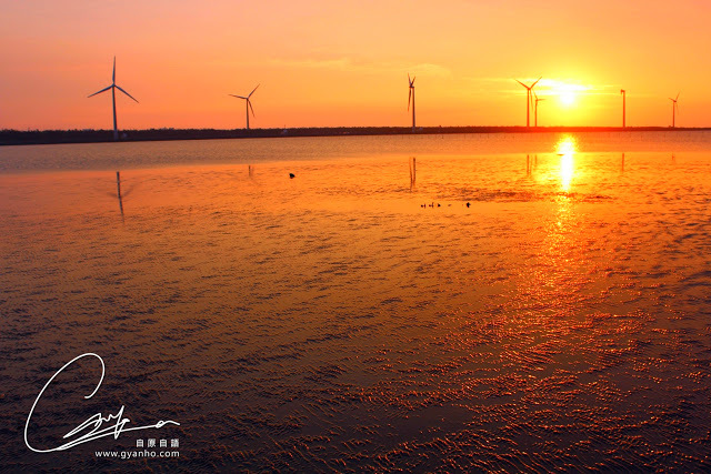 食遊台中：高美濕地
