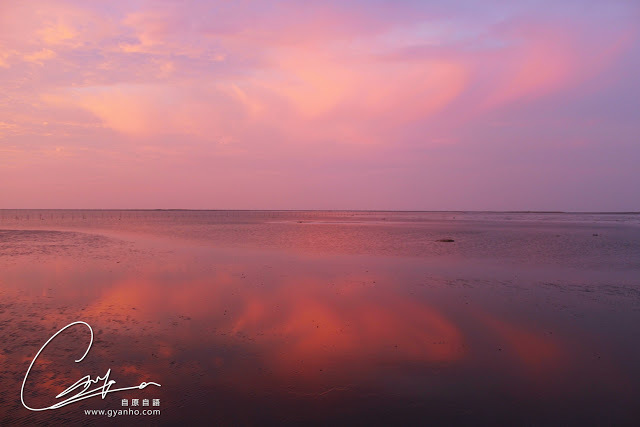 食遊台中：高美濕地