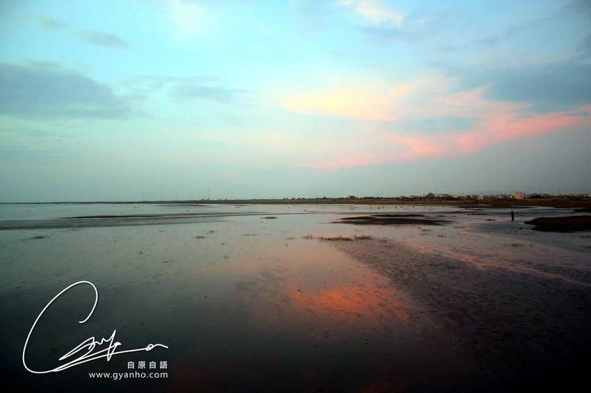 食遊台中：高美濕地