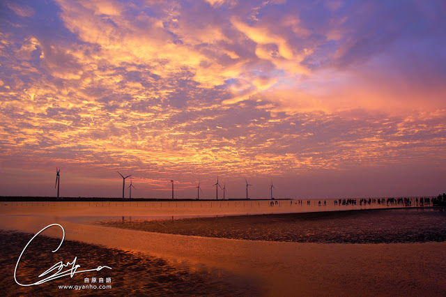 食遊台中：高美濕地