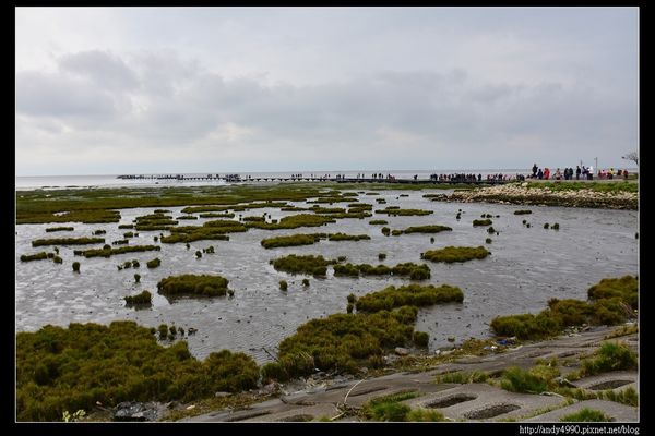 20160312高美濕地1
