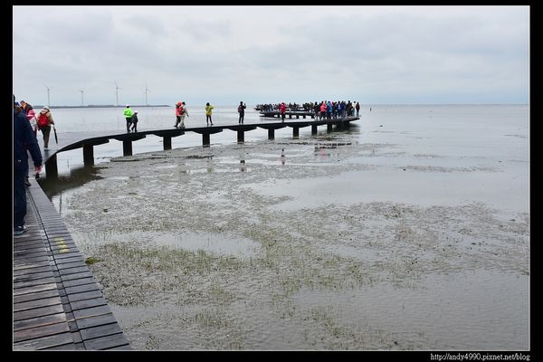 20160312高美濕地4