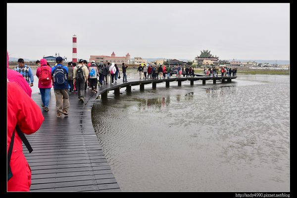 20160312高美濕地7
