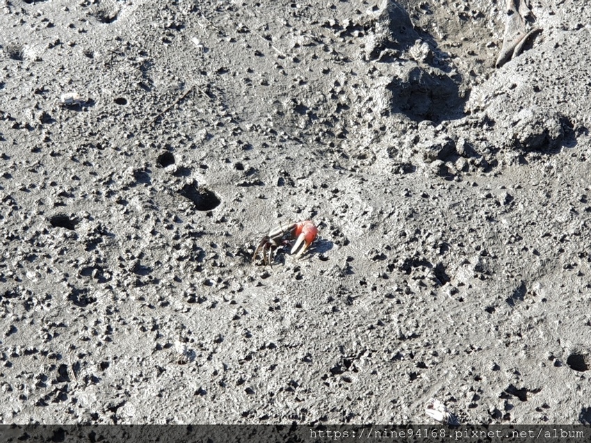 20191215 高濕美地_y方阿姨早餐_191215_0053.jpg