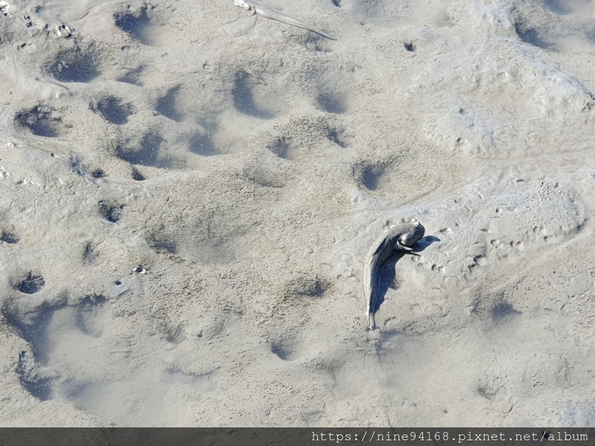 20191215 高濕美地_y方阿姨早餐_191215_0047.jpg