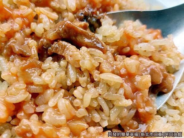 阿田油飯12-油飯特寫.jpg