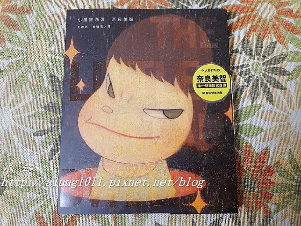 奈良美智 (18).jpg
