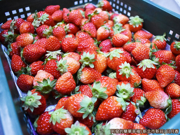 日月香03-一箱箱的新鮮草莓.JPG