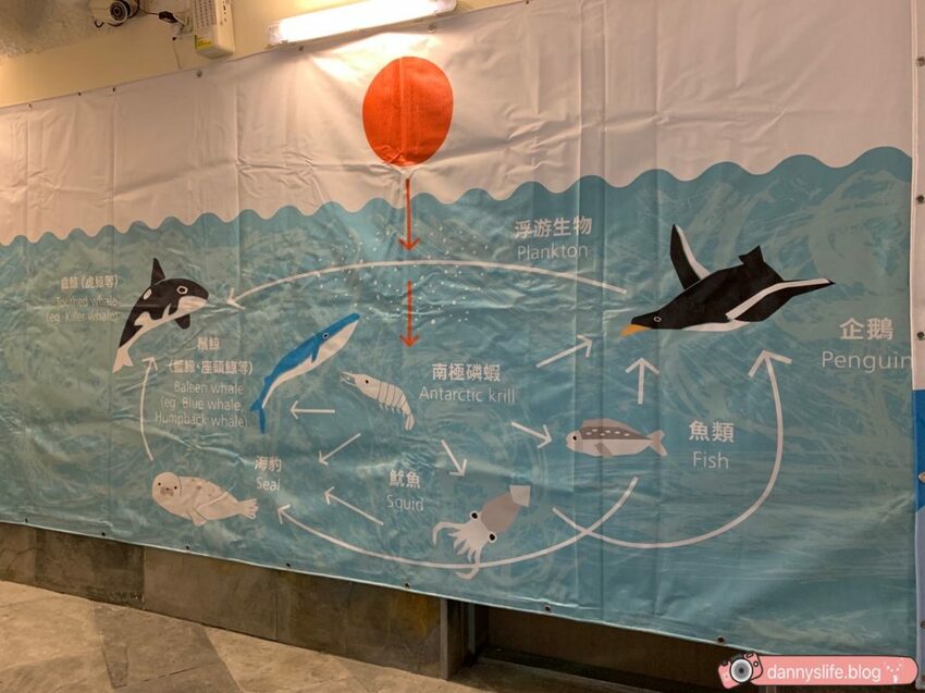 海生館餵企鵝 │屏東景點。我與企鵝的0.1毫米，被咬到了 - 丹尼的吃喝玩樂