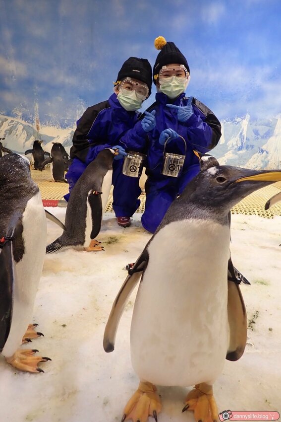 海生館餵企鵝 │屏東景點。我與企鵝的0.1毫米，被咬到了 - 丹尼的吃喝玩樂